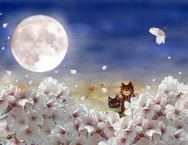 月と桜.jpg